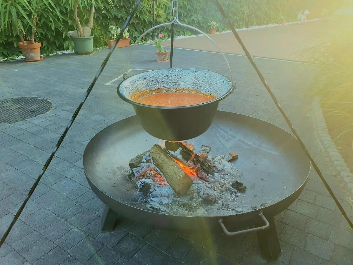 Karolyi Panzio Guest house